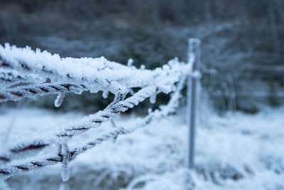 Close-up of frozen rope outdoors