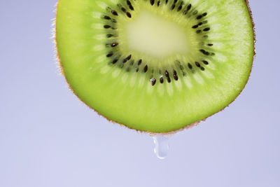 Close-up of fruit against white background