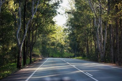 Empty road along trees in forest