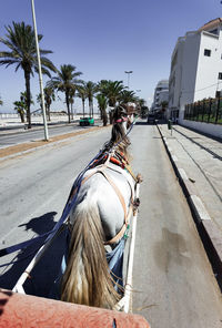 Horse pushing a cart on the road