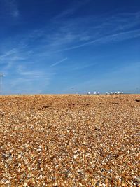 Scenic view of field against blue sky