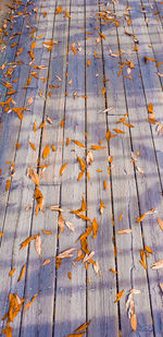 High angle view of leaves on boardwalk