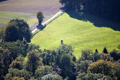 High angle view of trees on field