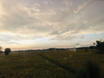 Scenic view of field against sky during sunset