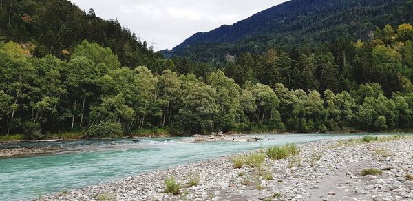 Scenic view of river in forest against sky