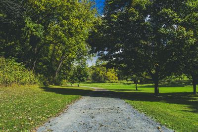 Footpath in park
