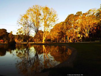 Reflection of trees in calm lake against clear sky