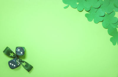 Close-up of leaf over green background