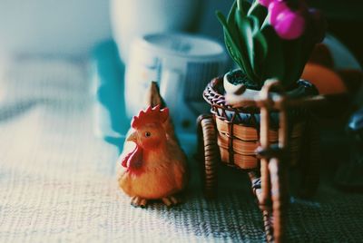 Close-up of a bird against blurred background