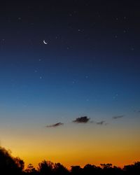 Low angle view of silhouette trees against sky at night