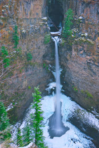 Scenic view of waterfall in forest