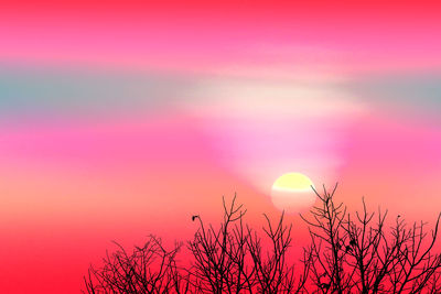 Low angle view of silhouette plant against sky during sunset