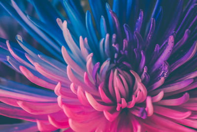 Extreme close up of white flower