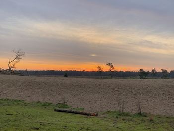 Scenic view of field against sky during sunset