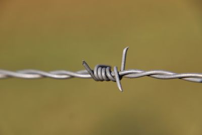 Close-up of barbed wire