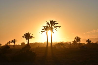 Silhouette palm trees against sky during sunset