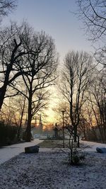 Bare trees on snow covered landscape against sky