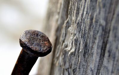 Close-up of rusty metal on wood