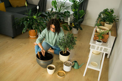 Potted plants on table