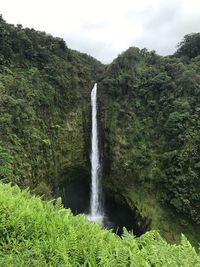 Scenic view of waterfall in forest against sky