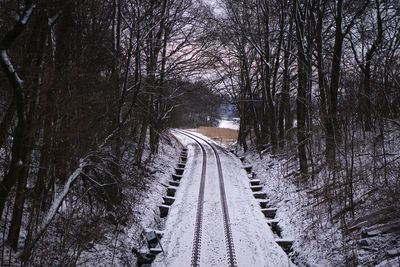 Railroad tracks amidst bare trees during winter