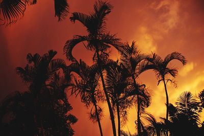 Low angle view of silhouette palm trees against romantic sky