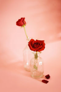 Close-up of red rose on table