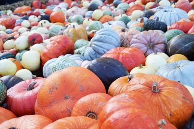 Full frame shot of pumpkins at market