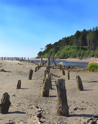 Scenic view of beach against clear blue sky