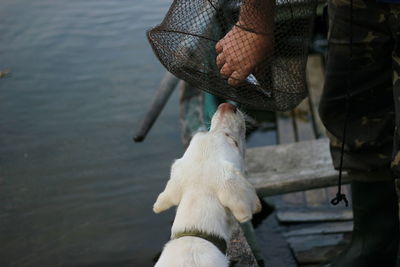 Man with dog by water