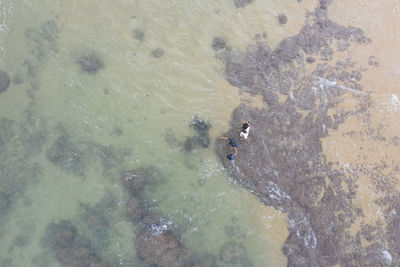 High angle view of people on beach