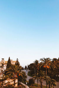 View of trees against clear blue sky