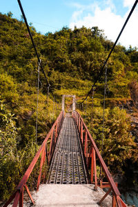 Footbridge amidst trees in forest against sky