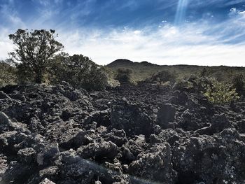 Scenic view of land against sky