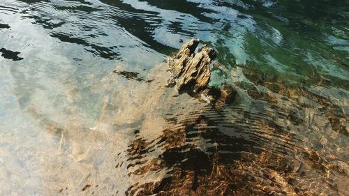 High angle view of rock in lake