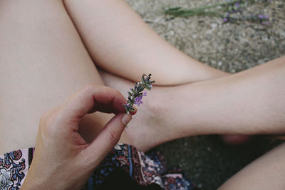 Low section of woman holding flowers while sitting on road