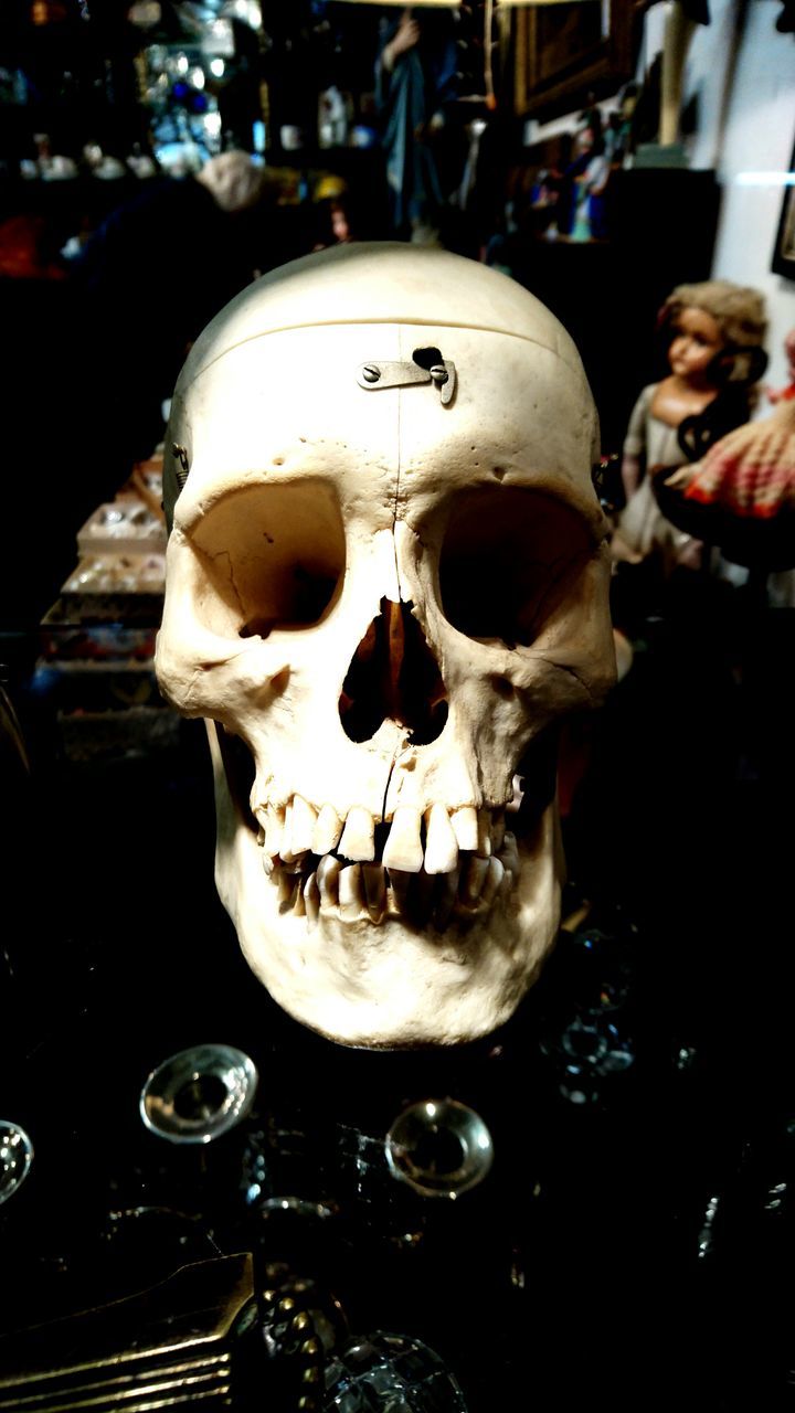 CLOSE-UP OF HUMAN SKULL IN MASK