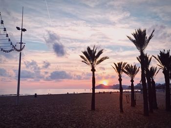 Silhouette trees on beach against sky during sunset