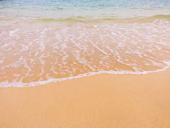 Scenic view of beach