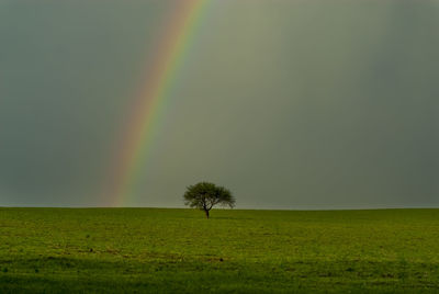Scenic view of field against rainbow in sky