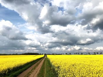 Scenic view of field against cloudy sky