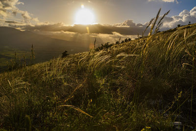 Scenic view of field against sky during sunset