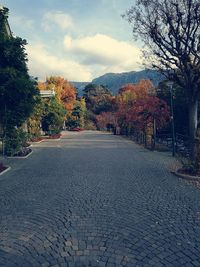 Road amidst trees against sky during autumn