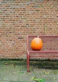 Orange fruits on wall