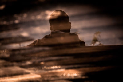 Close-up of statue against blurred background