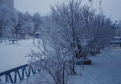 Snow covered land and bare trees on field during winter