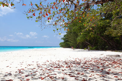 Scenic view of beach against sky