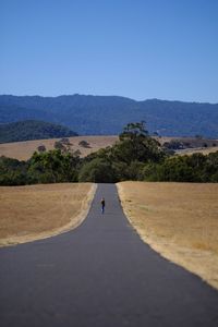 Rear view of man walking on road against clear sky