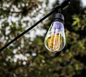 Close-up low angle view of illuminated light bulb hanging against tree
