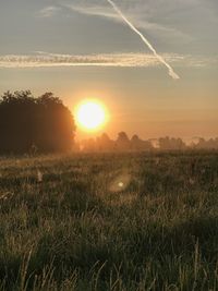 Scenic view of field against sky during sunset
